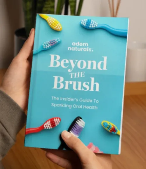 ProvaDent Beyond the Brush digital guide cover